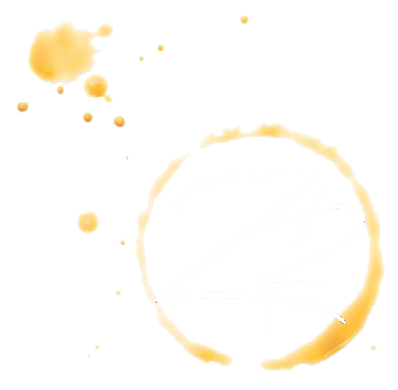 ZR logo
